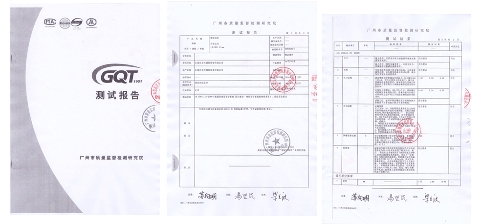 檢測報告